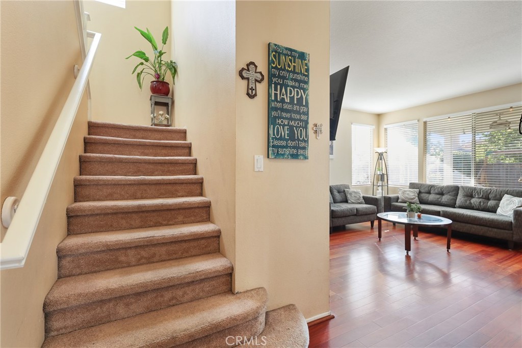 11497 Cotton Cloud Drive