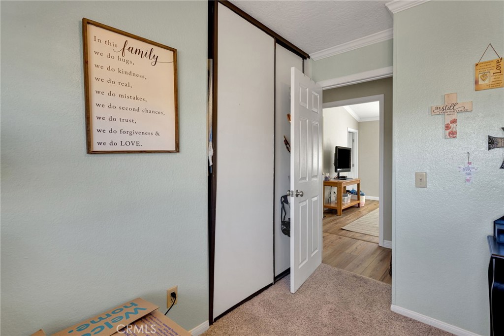 12718 Triple Tree Terrace