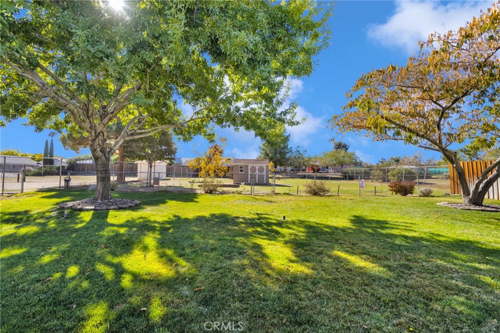 12718 Triple Tree Terrace