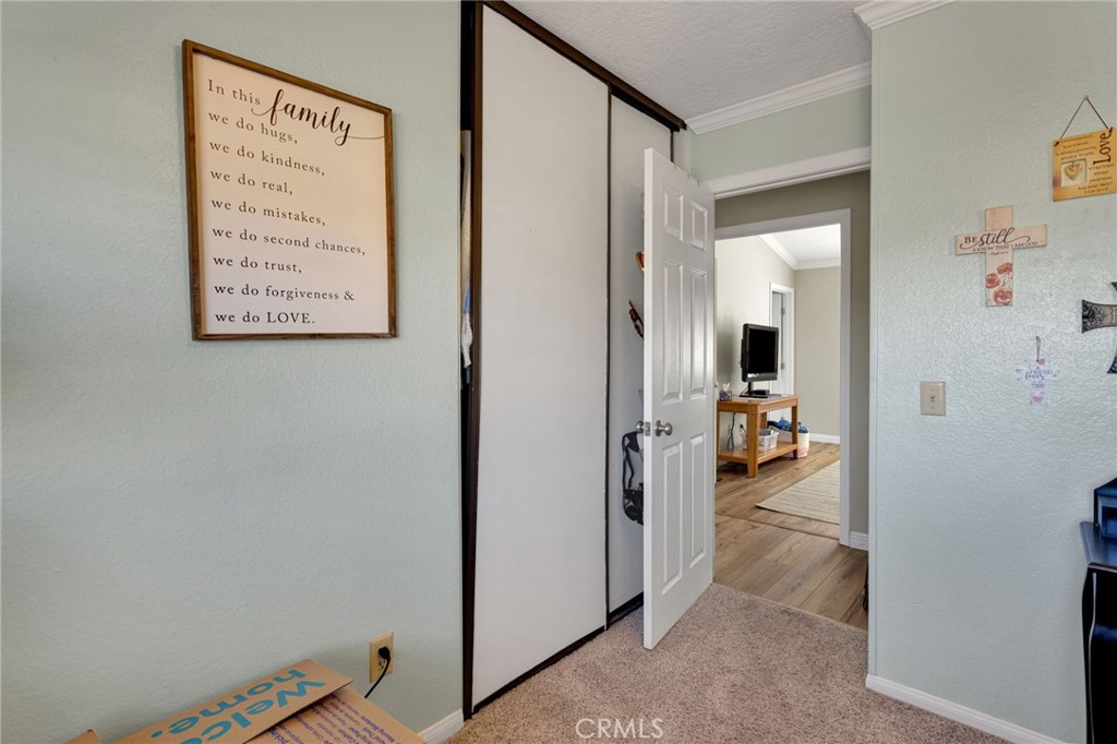 12718 Triple Tree Terrace