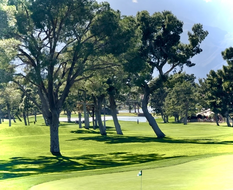 9641 Spyglass Ave 62