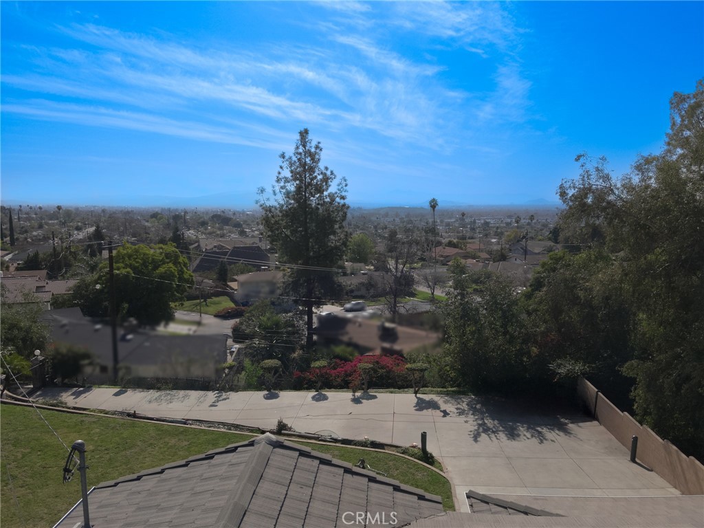 3772 Elm