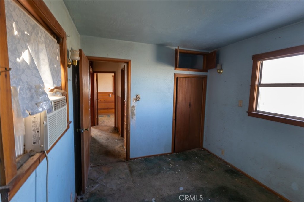 25640 Jasper