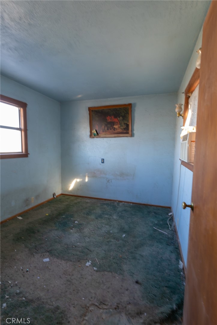 25640 Jasper
