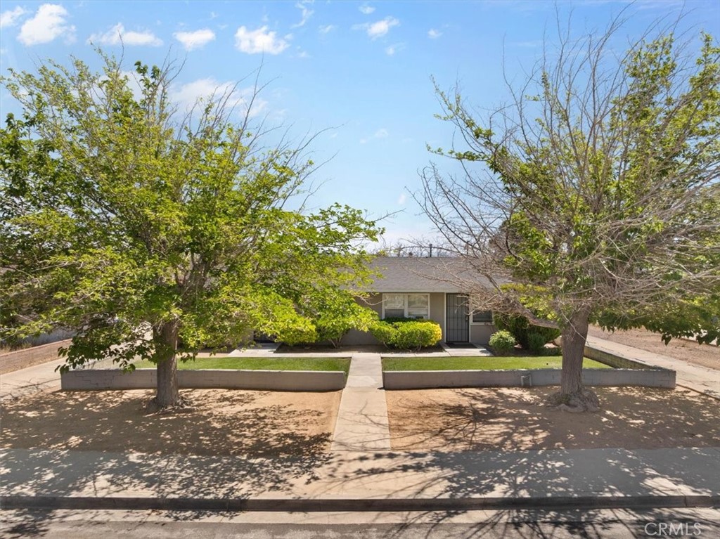 14703 Mesa