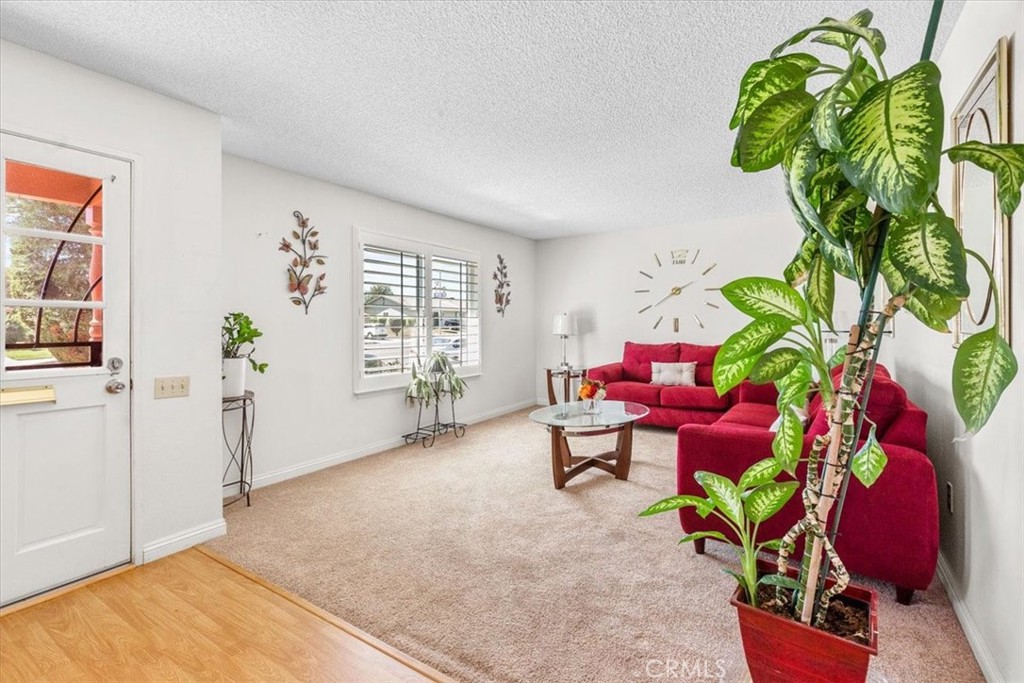 25960 Mccall Boulevard