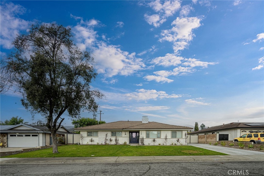 529 Occidental Drive