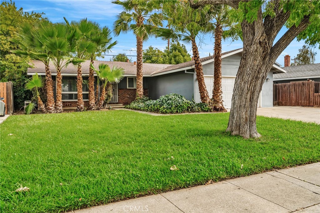 3361 Brunner Drive