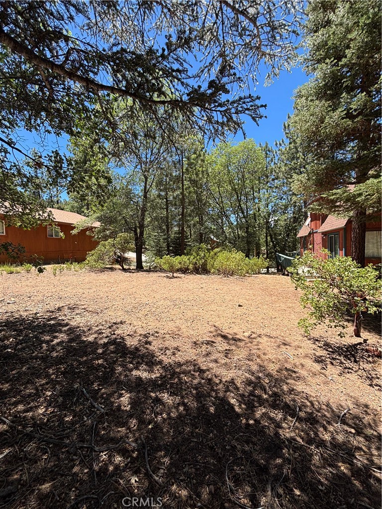 815 Conklin