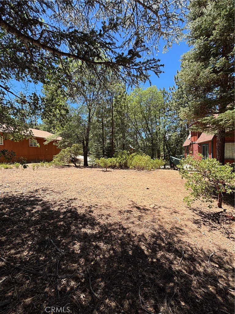 815 Conklin