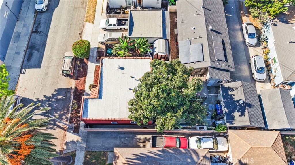 5815 Gaviota