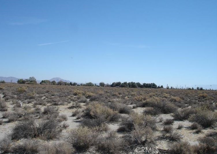 0 Bear Valley / Duncan Road