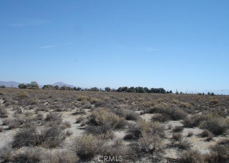 0 Bear Valley / Duncan Road