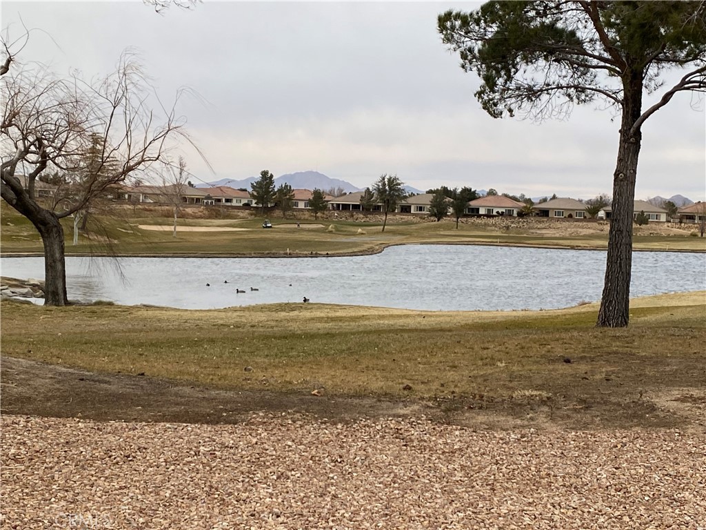 10789 Cumberland Court