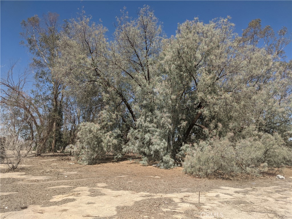 42797 Navajo
