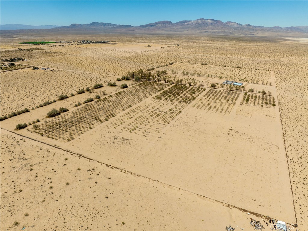 42797 Navajo