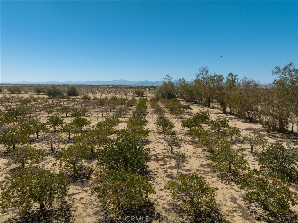 42797 Navajo