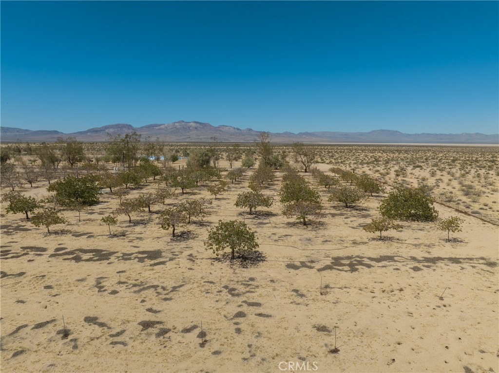 42797 Navajo