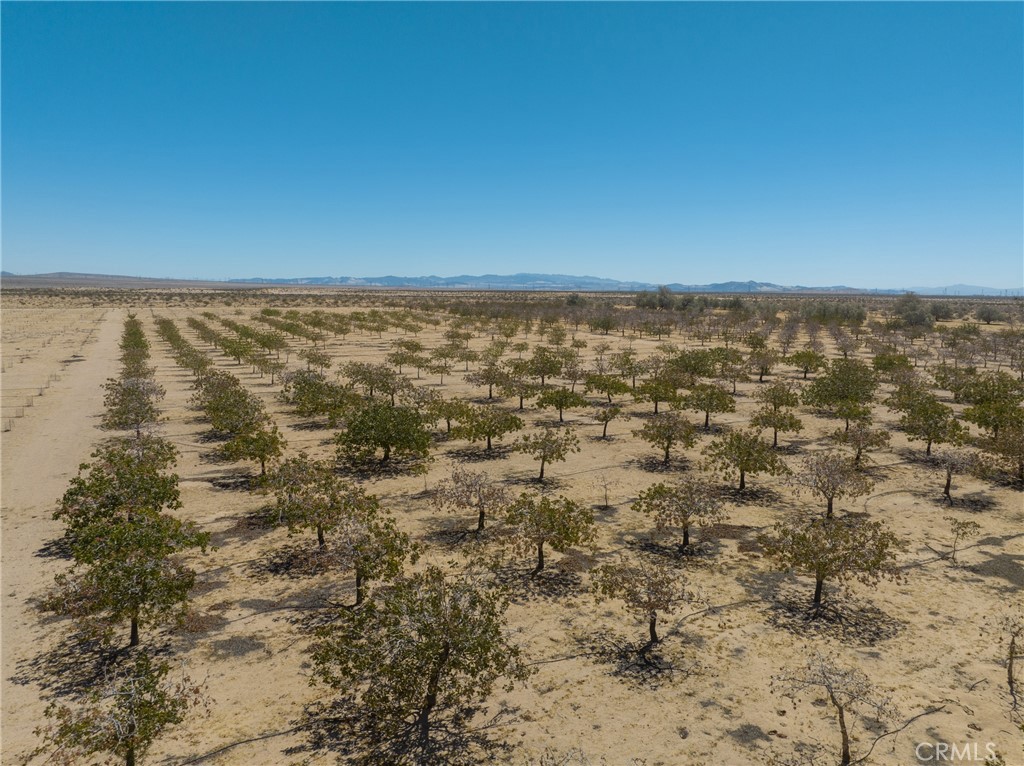 42797 Navajo