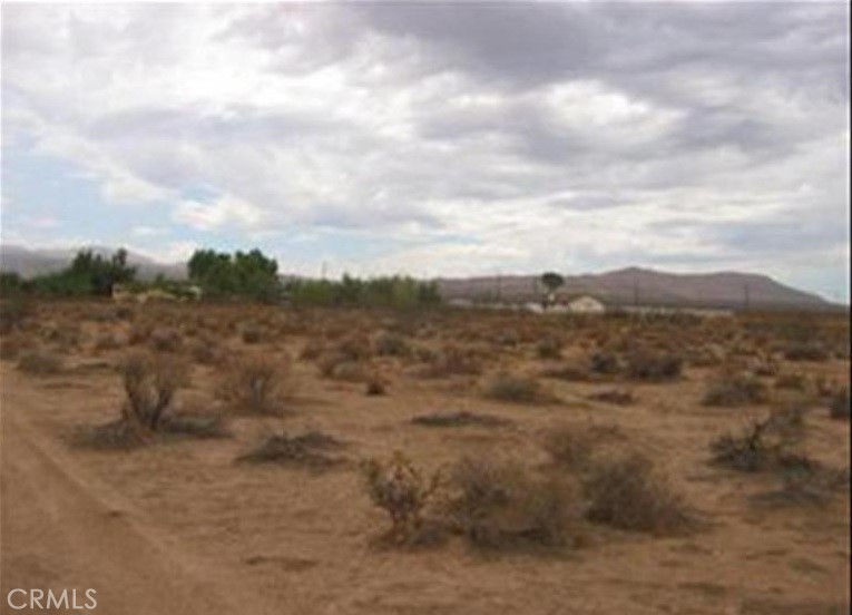 25982 Bellflower Road