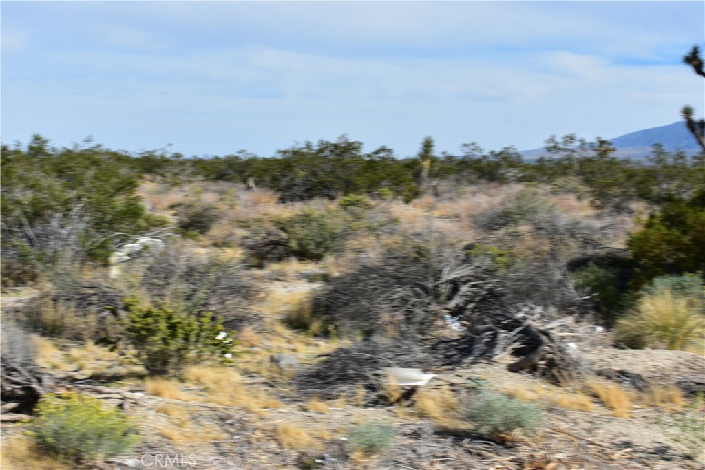 1 Vac/Cor Avenue R12/Longview Road