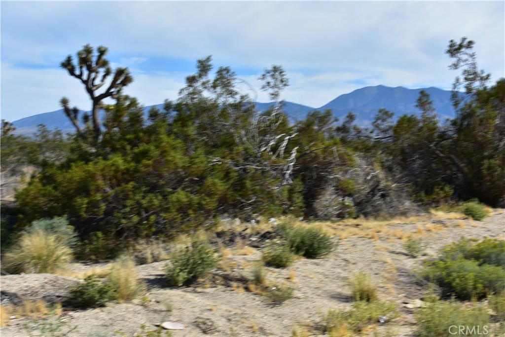 1 Vac/Cor Avenue R12/Longview Road