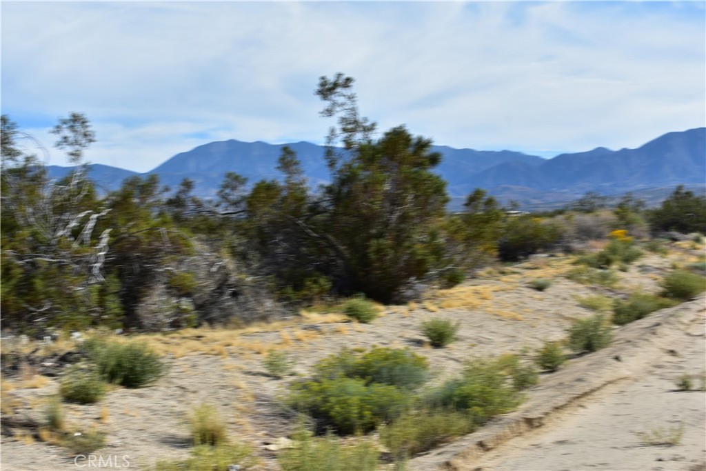 40 Vac/Cor Avenue R12/Longview Road