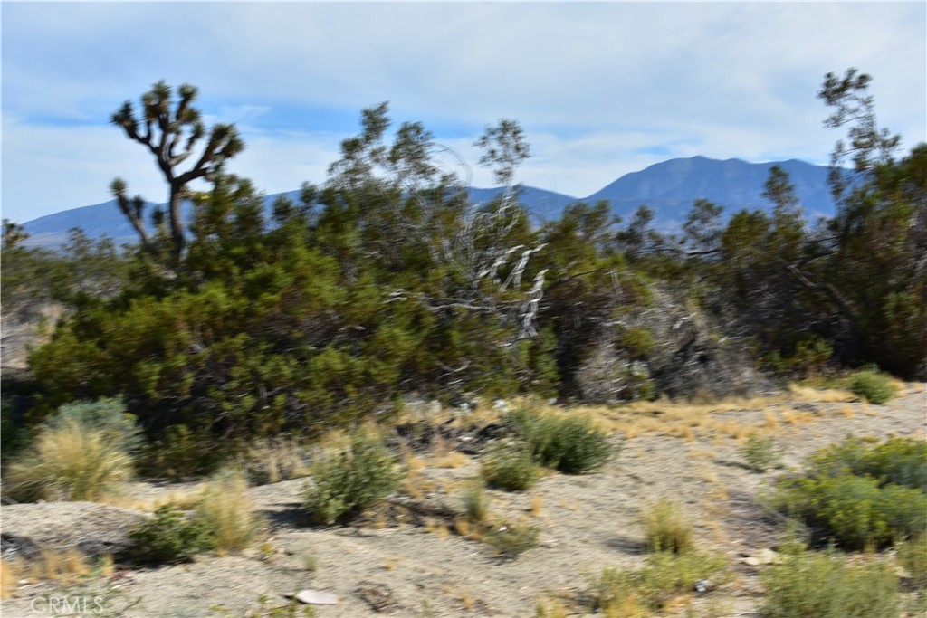 40 Vac/Cor Avenue R12/Longview Road