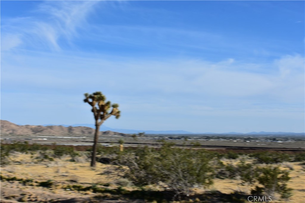 40 Vac/Cor Avenue R12/Longview Road