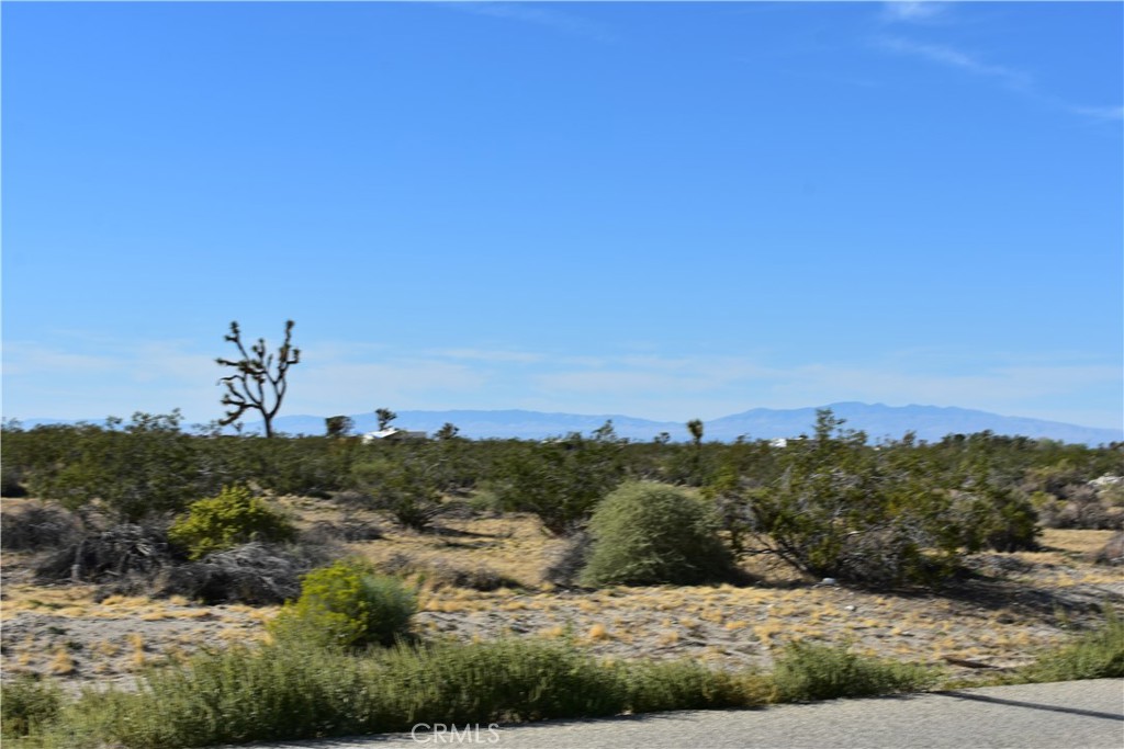 40 Vac/Cor Avenue R12/Longview Road