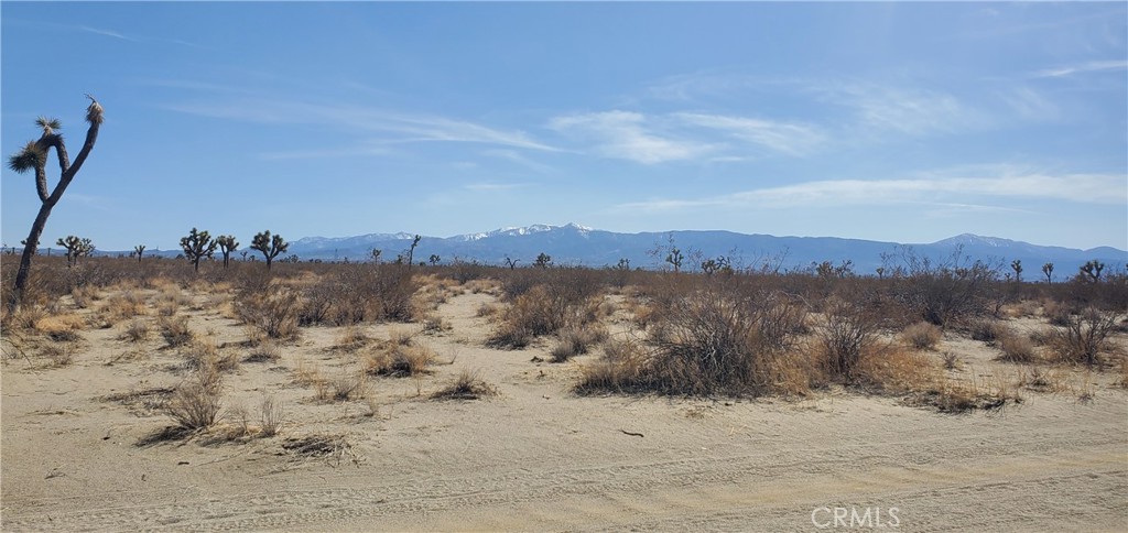 20 Acres Holly Road