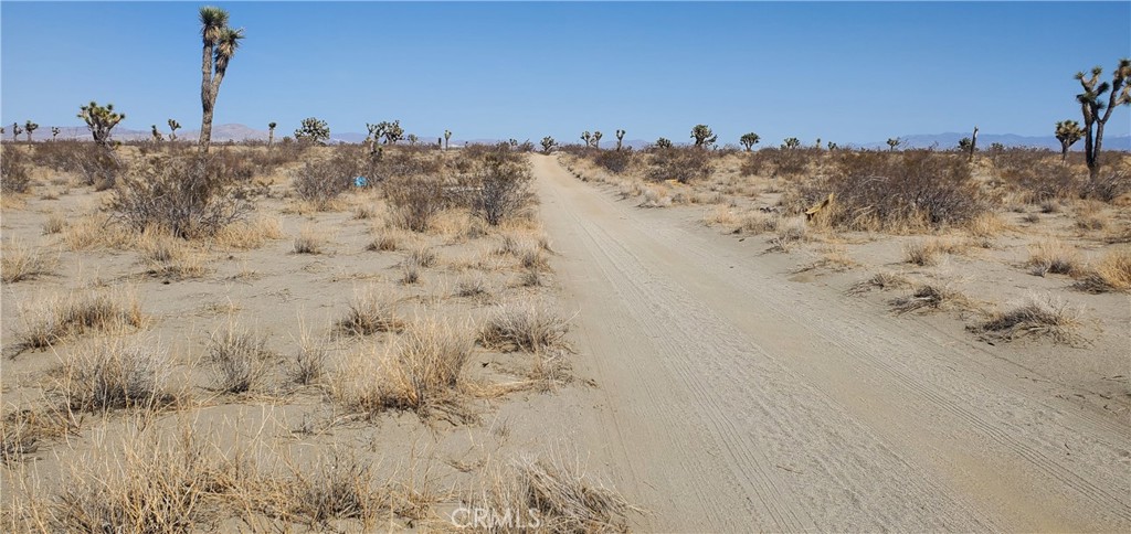 20 Acres Holly Road