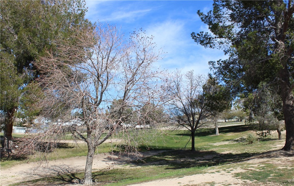 16270 Wimbleton Drive