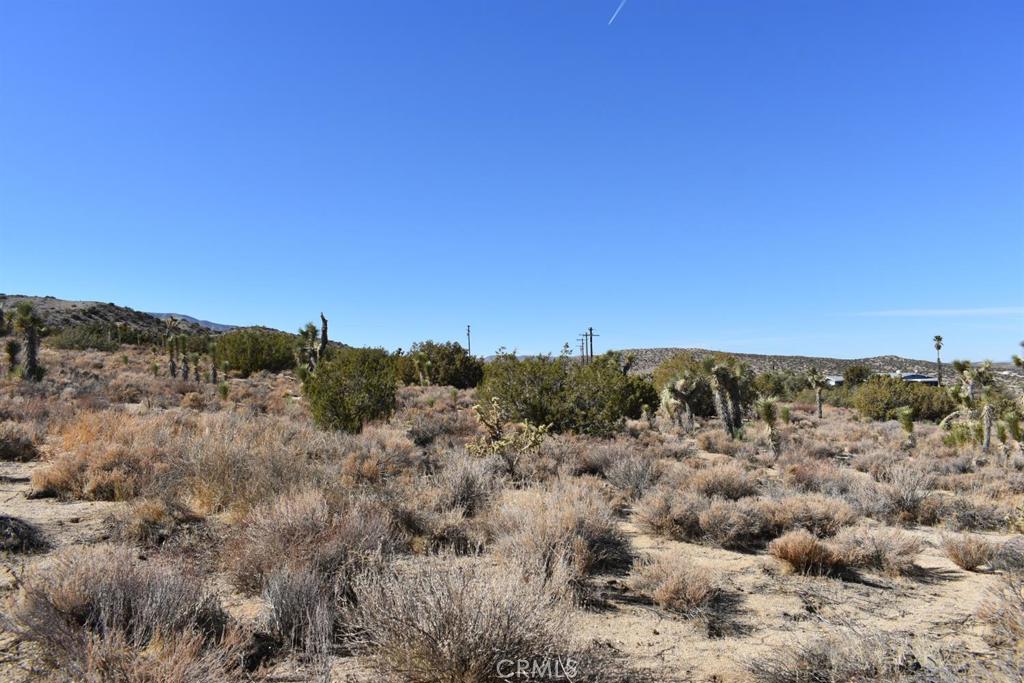 0 Vac/Ave Y4/Vic 157 Ste Street