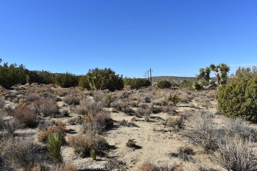 0 Vac/Ave Y4/Vic 157 Ste Street