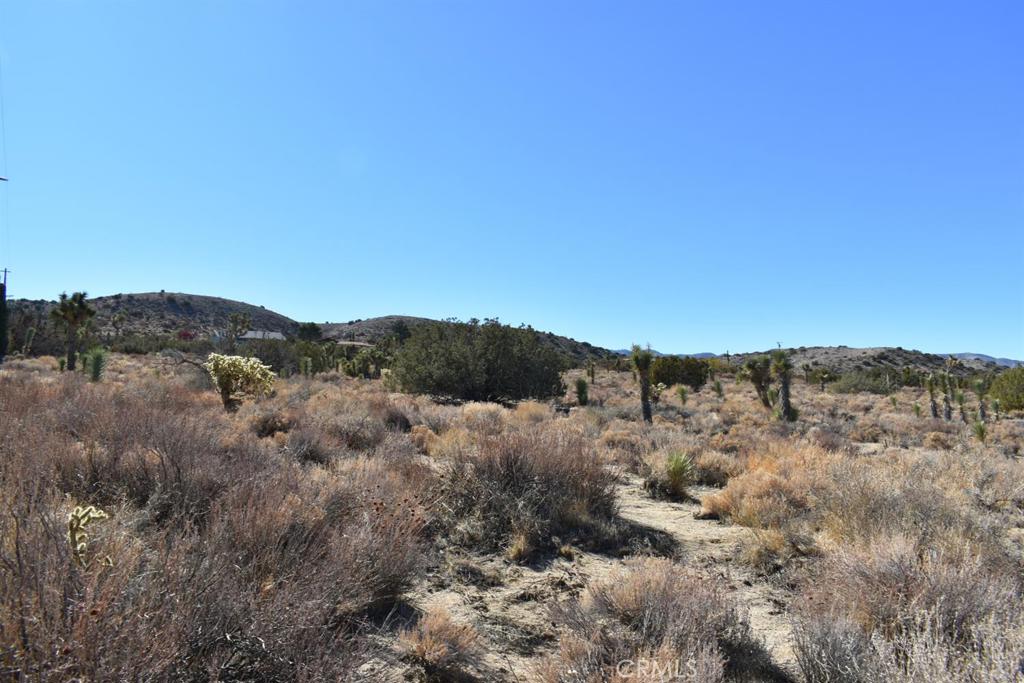 0 Vac/Ave Y4/Vic 157 Ste Street