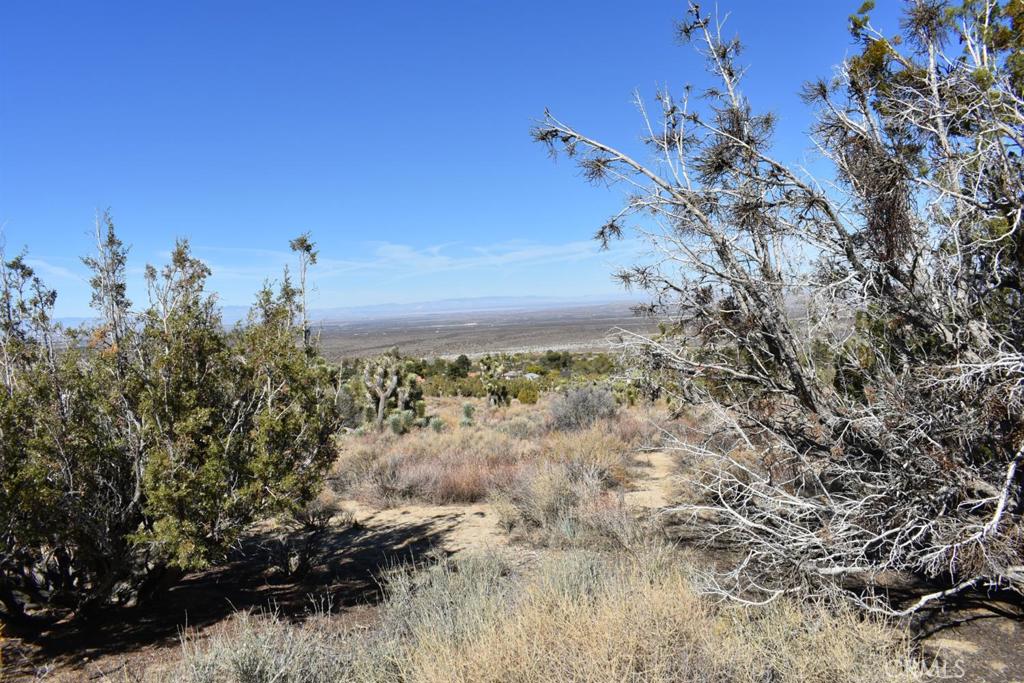 0 Vac/Ave Y4/Vic 157 Ste Street