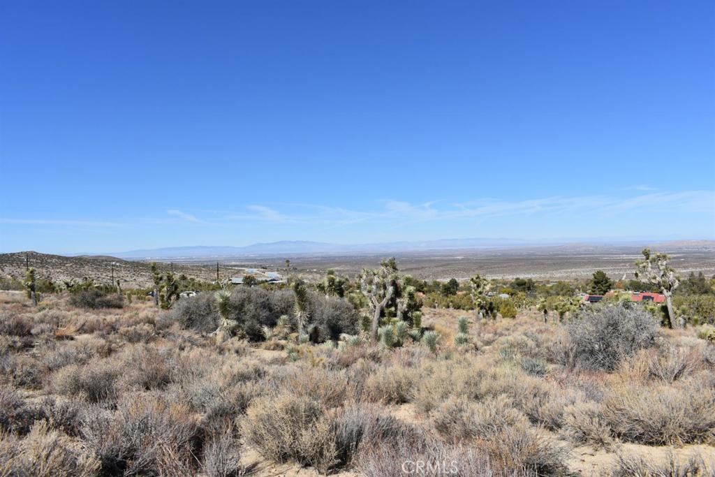 0 Vac/Ave Y4/Vic 157 Ste Street