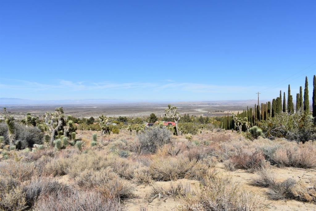 0 Vac/Ave Y4/Vic 157 Ste Street