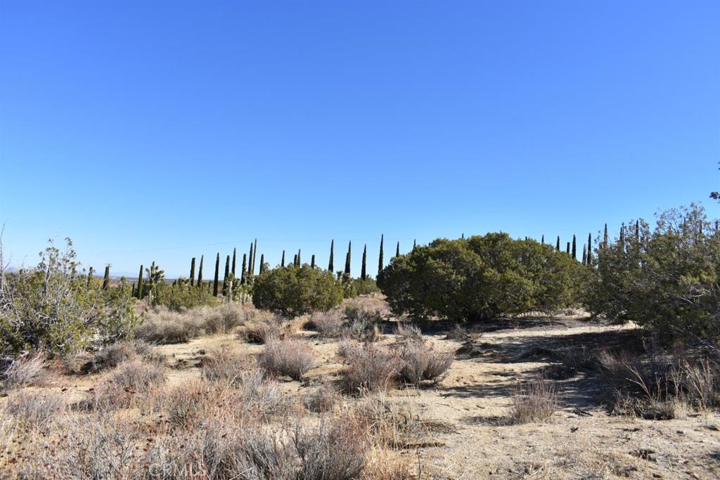 0 Vac/Ave Y4/Vic 157 Ste Street