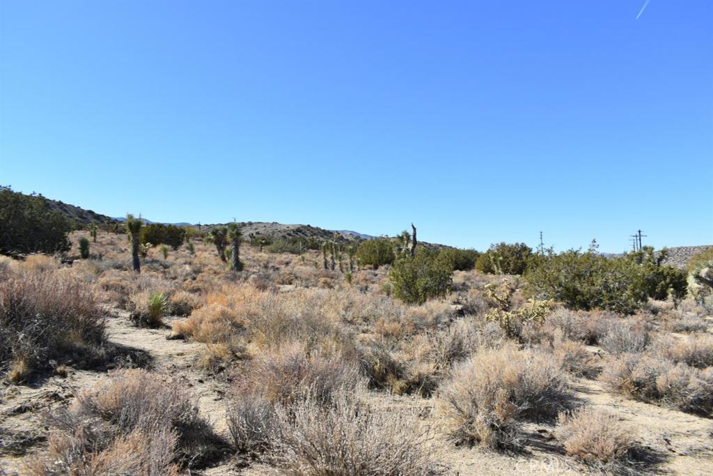 0 Vac/Ave Y4/Vic 157 Ste Street