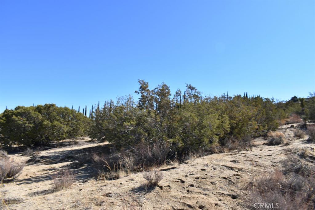 0 Vac/Ave Y4/Vic 157 Ste Street