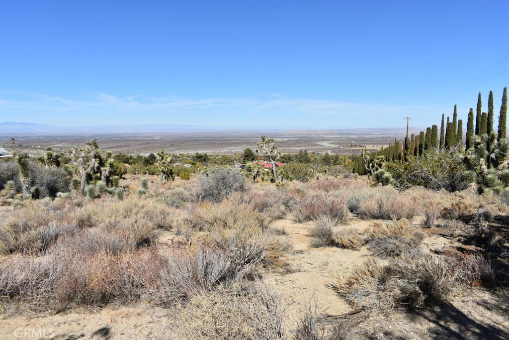 0 Vac/Ave Y4/Vic 157 Ste Street