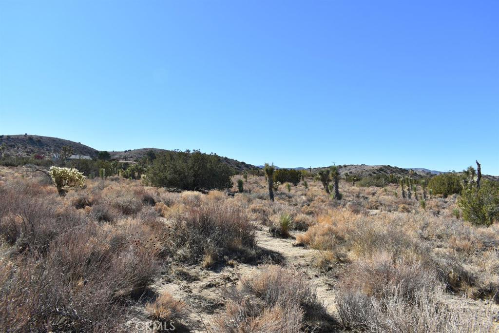 0 Vac/Ave Y4/Vic 157 Ste Street