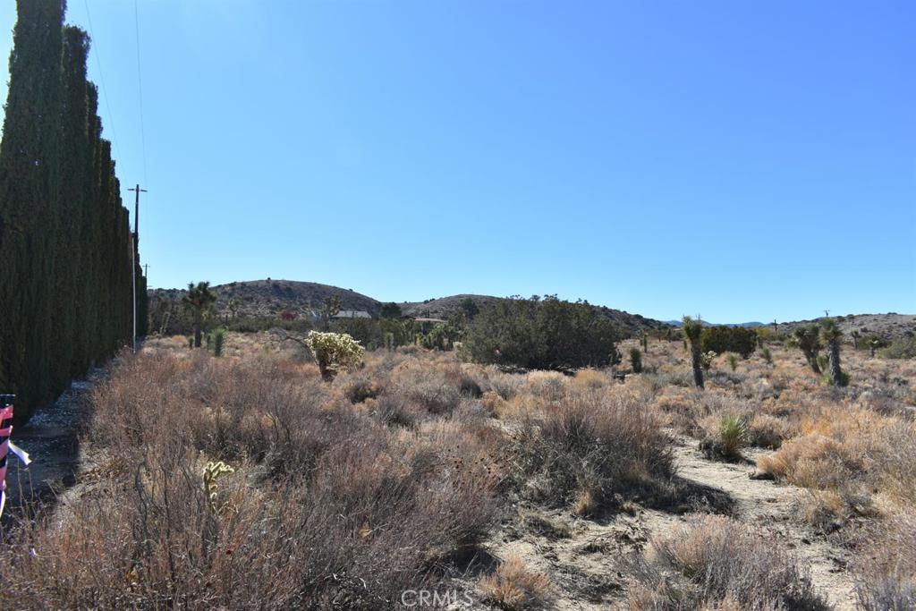 0 Vac/Ave Y4/Vic 157 Ste Street