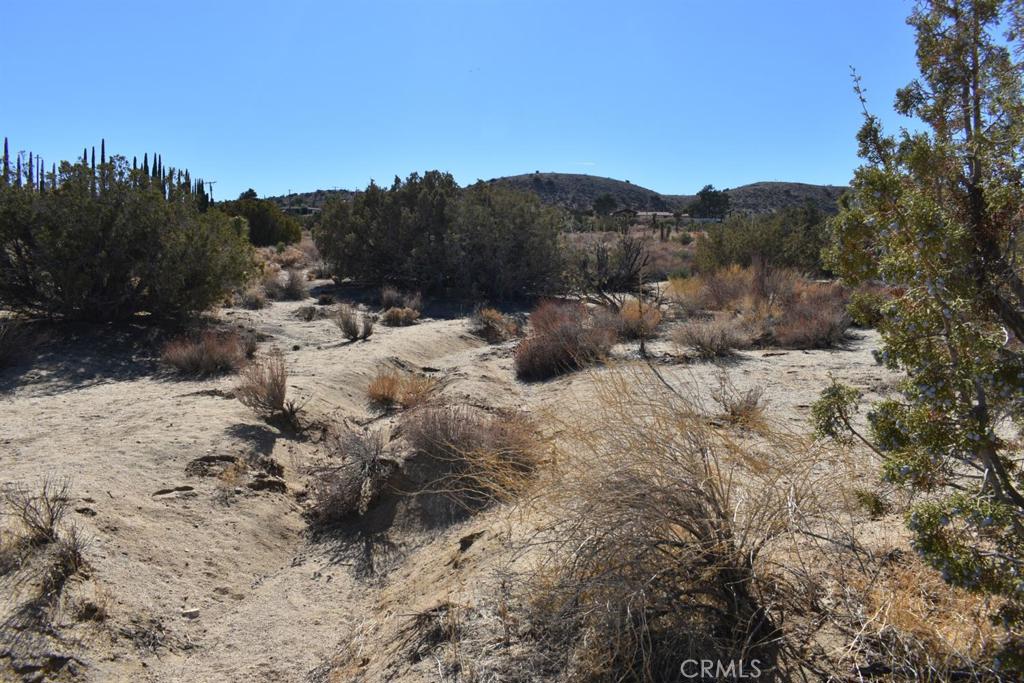 0 Vac/Ave Y4/Vic 157 Ste Street