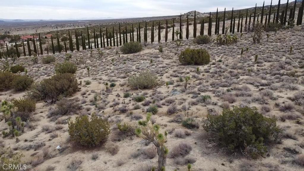 0 Vac/Ave Y4/Vic 157 Ste Street