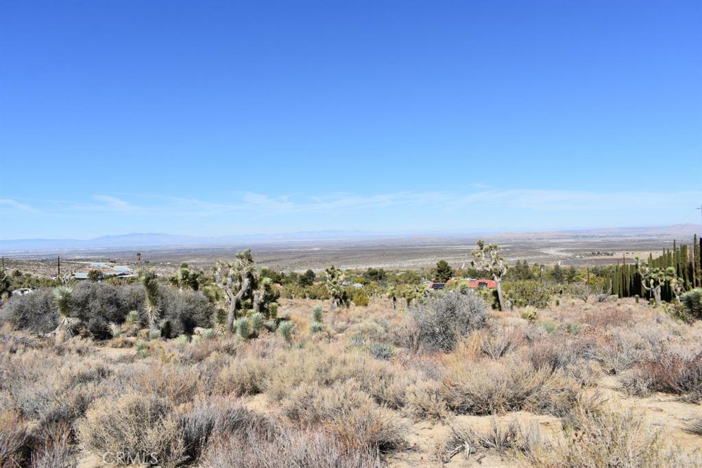 0 Vac/Ave Y4/Vic 157 Ste Street