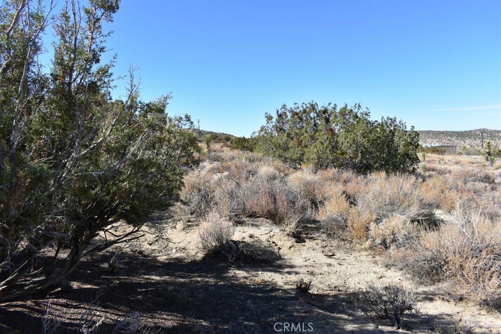 0 Vac/Ave Y4/Vic 157 Ste Street