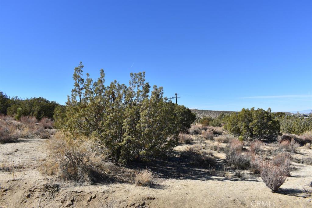 0 Vac/Ave Y4/Vic 157 Ste Street